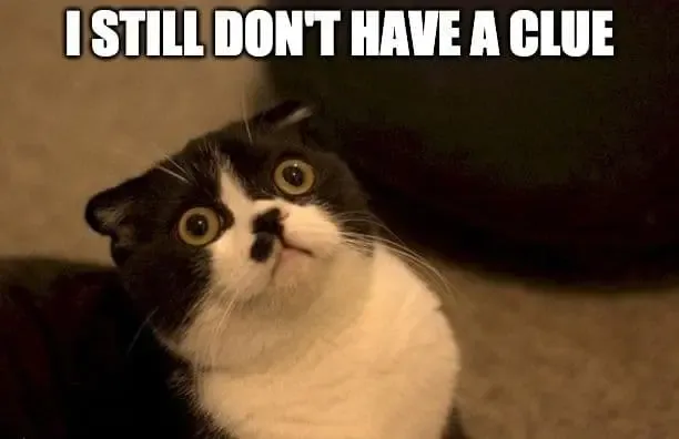 Gato confundido con el título: "I still don't have a clue".
